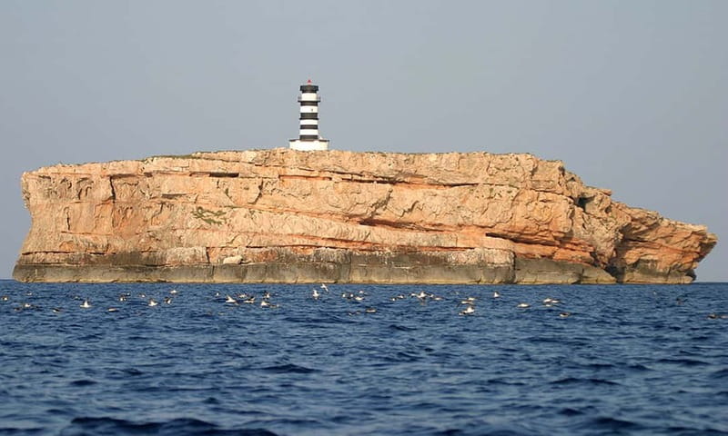 Colonia Sant Jordi: Premium & Fast Boat Tour around Cabrera - Why Cabrera makes a good day on the water