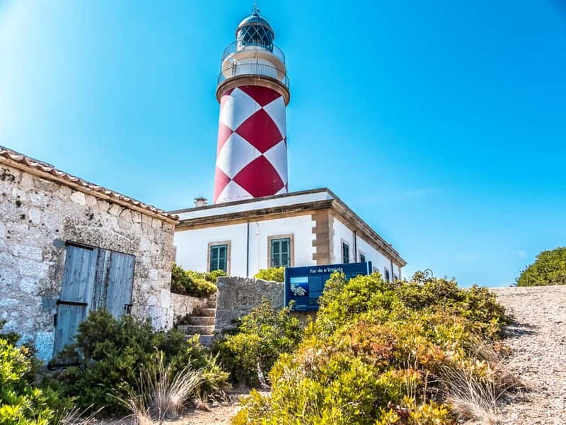Colonia Sant Jordi: Premium & Fast Boat Tour around Cabrera - Sa Platgeta and S’Espalmador for swimming