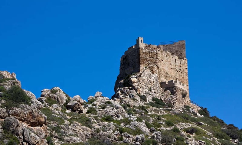 Colonia Sant Jordi: Premium & Fast Boat Tour around Cabrera - Who will enjoy this Cabrera trip most?