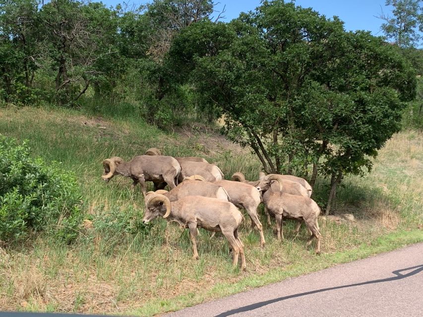 Colorado Springs: Garden of the Gods Luxury Jeep Tour - What the two-hour route gives you
