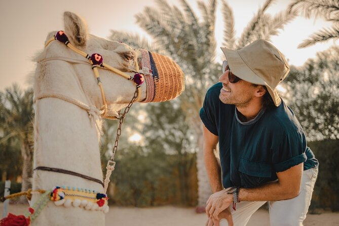 Combo:Deluxe Desert Safari with dinner + ATV self-drive/Quad Bike - Fire, Tanoura, and belly dancing after dark