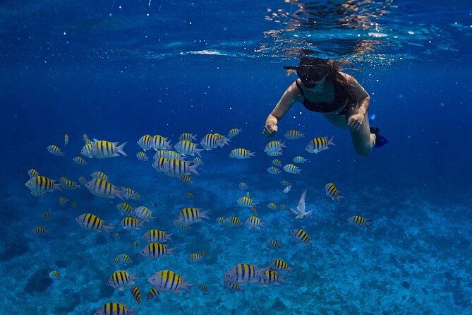 Cozumel Luxury Sailing & Snorkeling with Lunch and Open Bar Onboard - The morning begins earlier than the brochure suggests