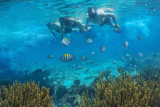 Cozumel Luxury Sailing & Snorkeling with Lunch and Open Bar Onboard - Swimming, paddleboards, and time under sail