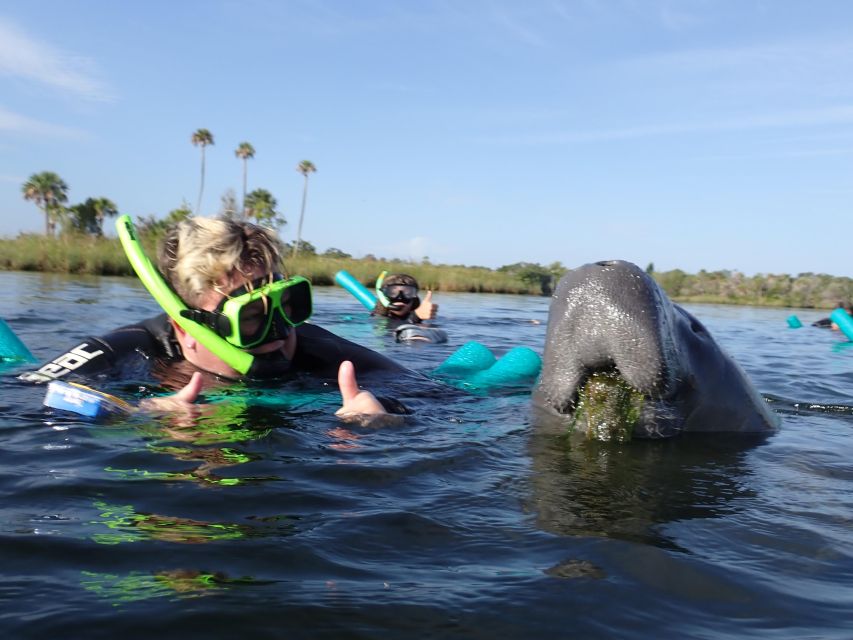 Crystal River: VIP Manatee Swim w/ In-water Photographer - After the swim at the facility