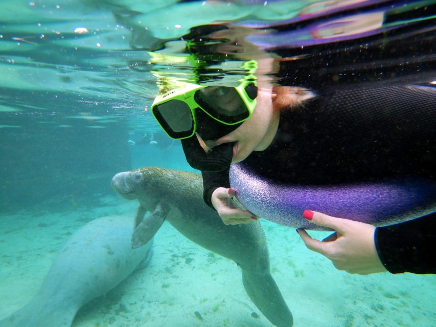 Crystal River: VIP Manatee Swim w/ In-water Photographer - Wetsuits, masks, and the short boat ride