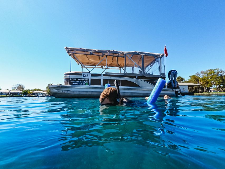 Crystal River: VIP Manatee Swim w/ In-water Photographer - Winter timing gives you the best chance