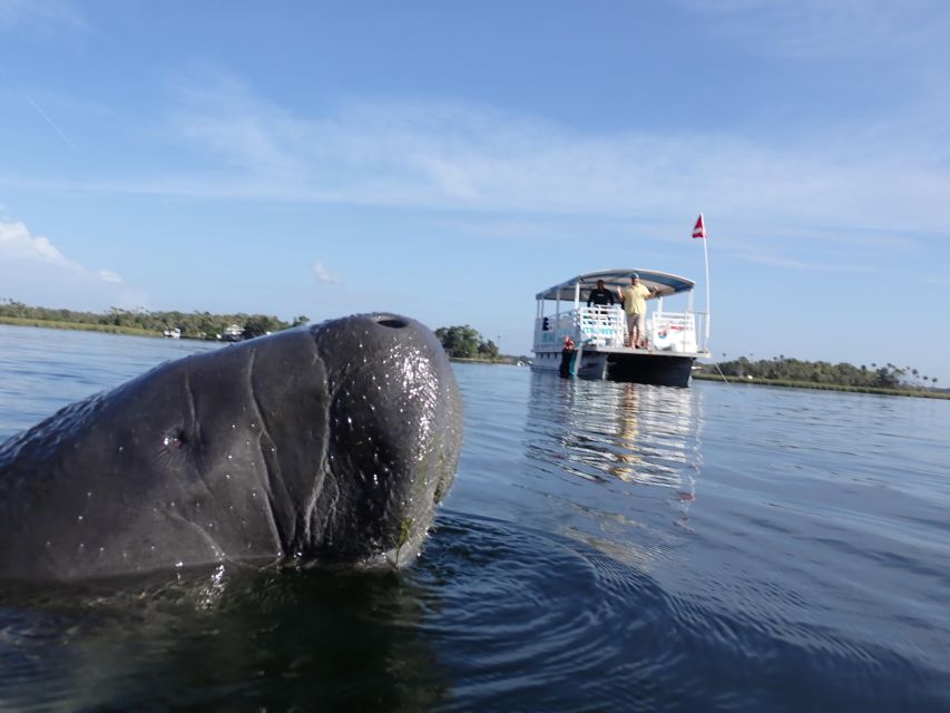 Crystal River: VIP Manatee Swim w/ In-water Photographer - The classroom briefing sets the tone