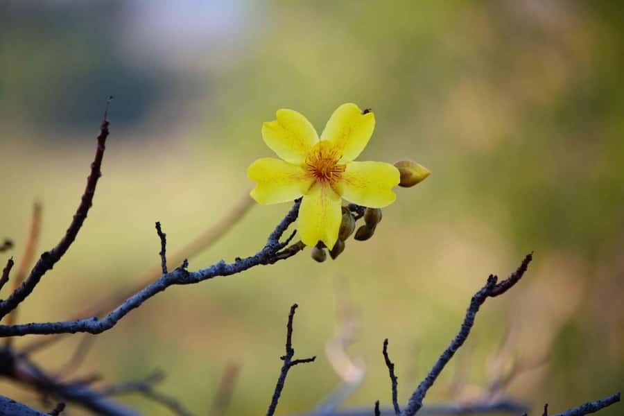 Darwin: Premium Litchfield Regional Small Group Day Tour - Food that makes the long day easier
