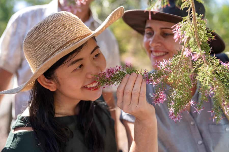 Darwin: Premium Litchfield Regional Small Group Day Tour - The guides shape the day