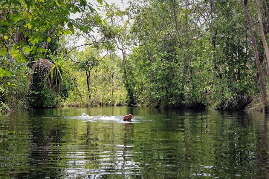Darwin: Premium Litchfield Regional Small Group Day Tour - What the $201 price includes