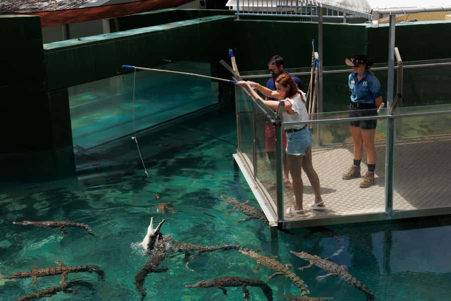 Darwin: VIP Crocosaurus Cove Experience - Key points