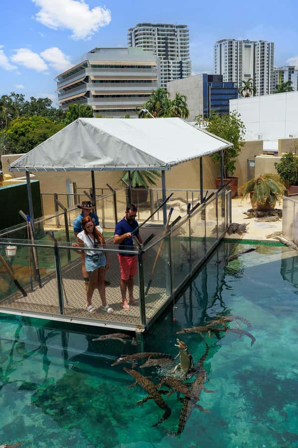 Darwin: VIP Crocosaurus Cove Experience - Who will get the most from this experience