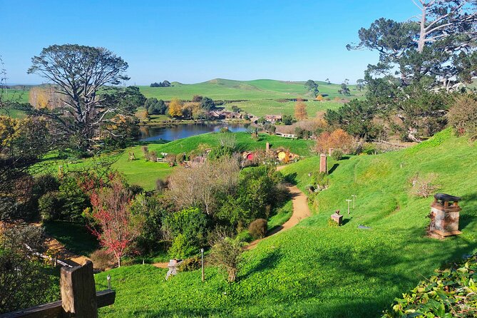 Day Tour Hobbiton + Rotorua from Auckland in Luxury Minibus - Lunch and Māori culture at Te Puia