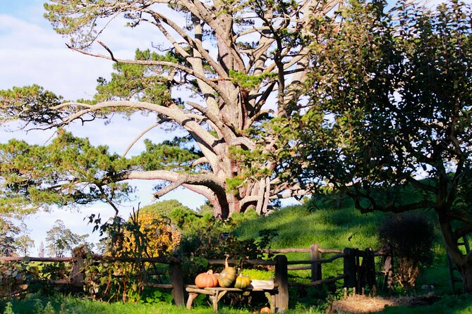 Day Tour Hobbiton + Rotorua from Auckland in Luxury Minibus - Geysers, kiwi, and Rotorua sightseeing