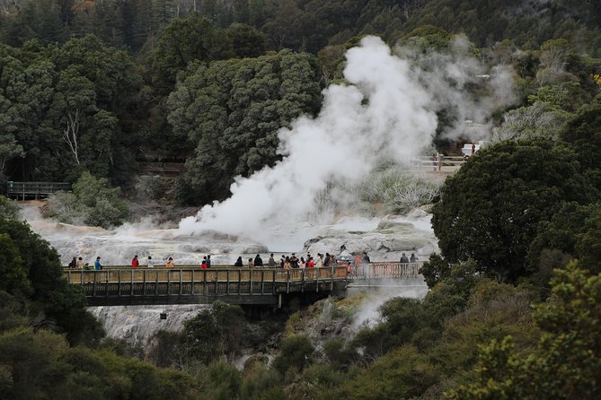 Day Tour Hobbiton + Rotorua from Auckland in Luxury Minibus - A long day with some scheduling risk