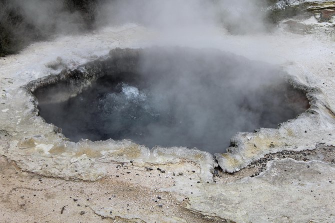 Day Tour Hobbiton + Rotorua from Auckland in Luxury Minibus - What the $312.77 price includes