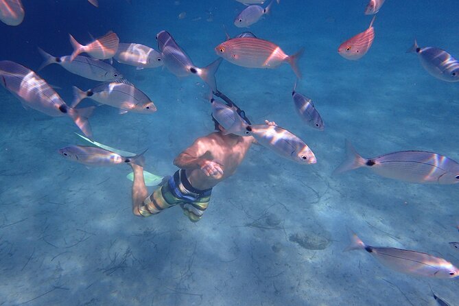 DAY TRIP - Exclusive Sailing Adventure - CORFU / PAXOS - The Blue Caves: one hour for swimming and snorkeling