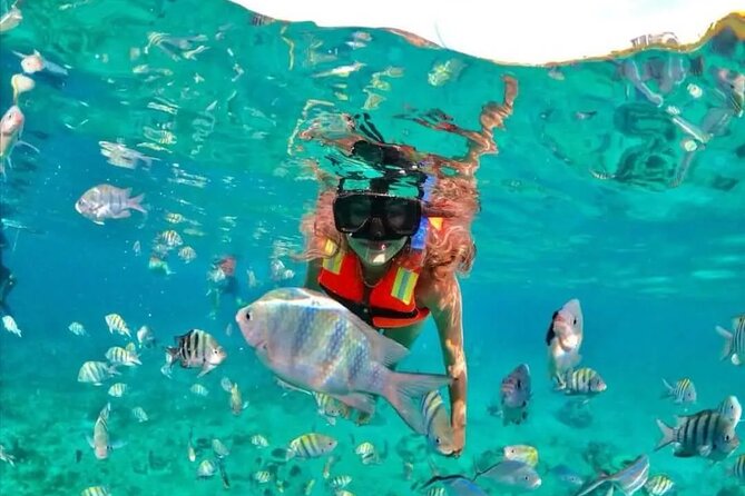 Deluxe Catamaran to Isla Mujeres with Open Bar from Cancun - The return sail and the party atmosphere