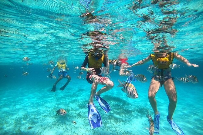 Deluxe Catamaran to Isla Mujeres with Open Bar from Cancun - Is the $38.90 price good value?