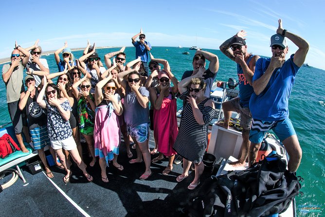 Deluxe Mega Fauna Humpback or Whaleshark Swim Ningaloo Reef - Key points to know before booking
