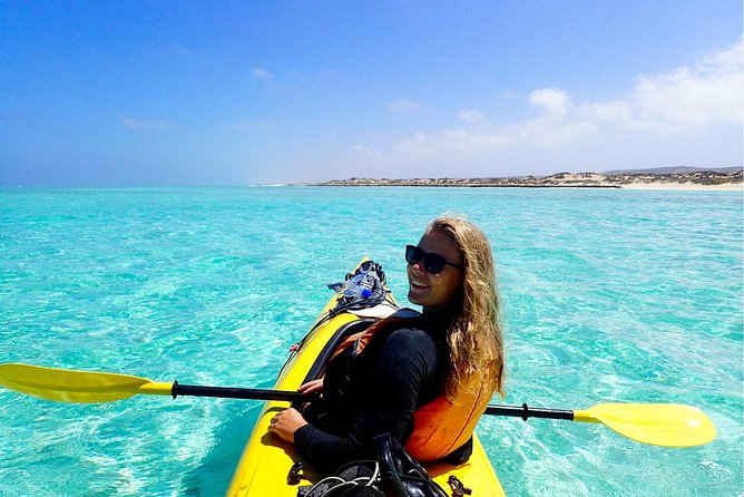 Deluxe Mega Fauna Humpback or Whaleshark Swim Ningaloo Reef - What your skill level needs to be