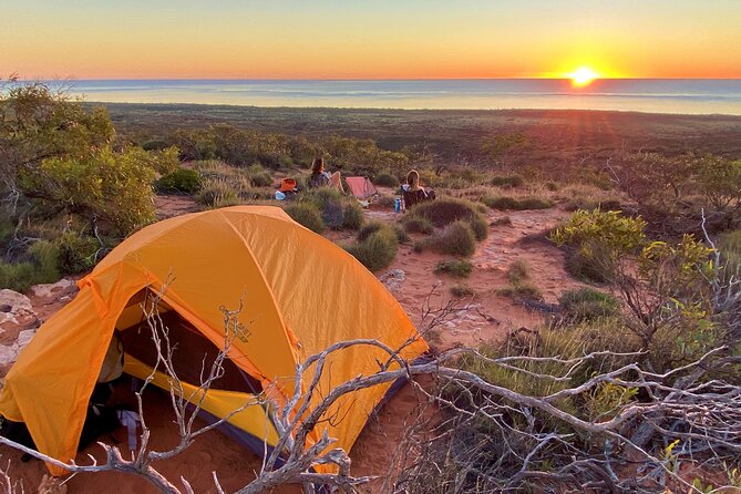 Deluxe Mega Fauna Humpback or Whaleshark Swim Ningaloo Reef - Lunch, drinks, and the value of the $430 price