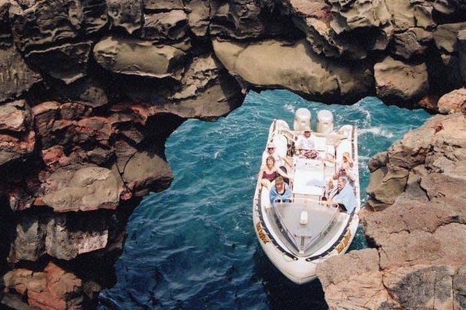 Deluxe Morning Snorkeling Adventure - Who will enjoy this most?