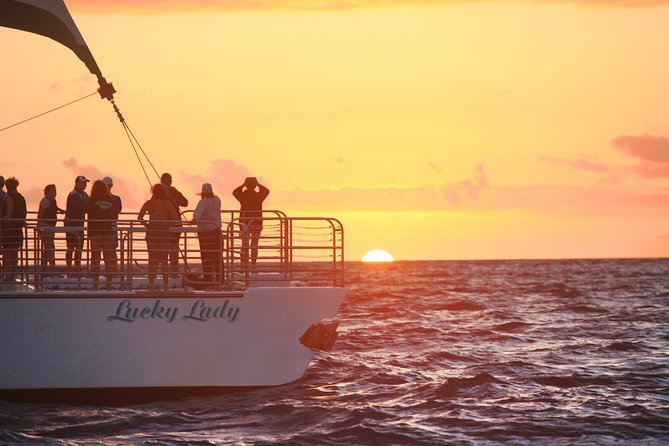 Deluxe Na Pali Sunset Tour on the Lucky Lady - Wildlife watching along the cliffs