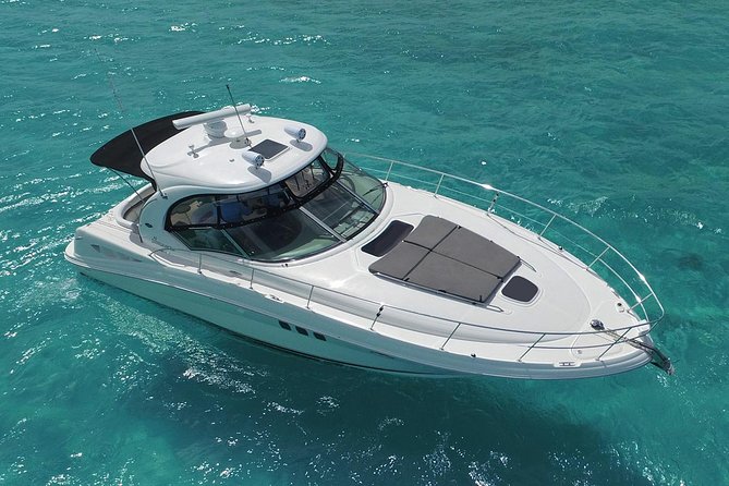 Deluxe Private Boats - 40 ft Sea Ray - Fresh ceviche, tuna, guacamole, and a full snack table