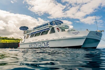 Deluxe Snorkel & Dolphin Watch Aboard a Luxury Catamaran from Kailua-Kona