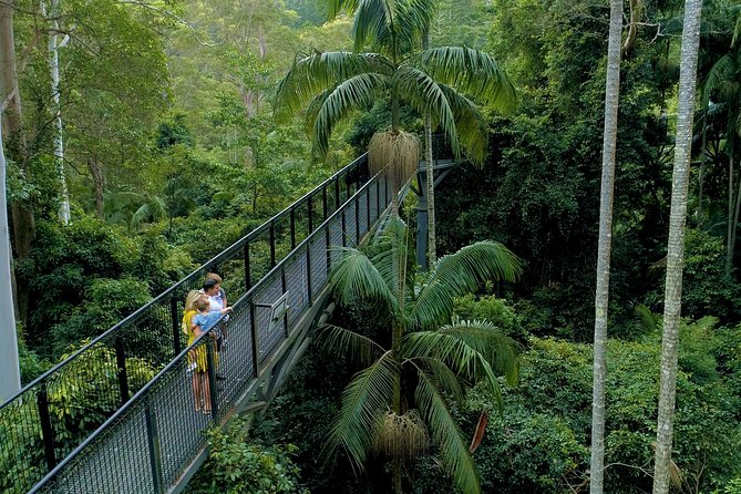Deluxe Springbrook & Mt Tamborine Glow Worms and famous Skywalk - A full day from Brisbane into the Queensland hinterland