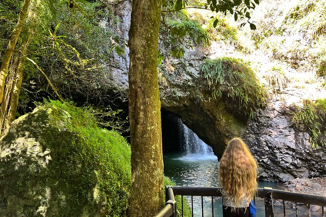 Deluxe Springbrook & Mt Tamborine Glow Worms and famous Skywalk - Hinze Dam starts the day with a useful pause