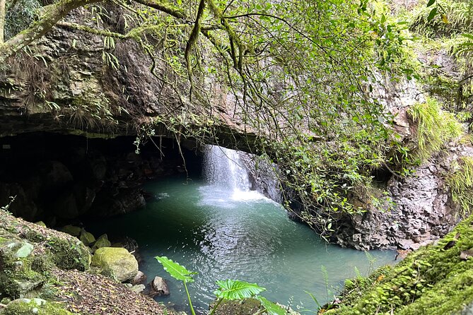 Deluxe Springbrook & Mt Tamborine Glow Worms and famous Skywalk - Natural Bridge delivers the strongest nature stop