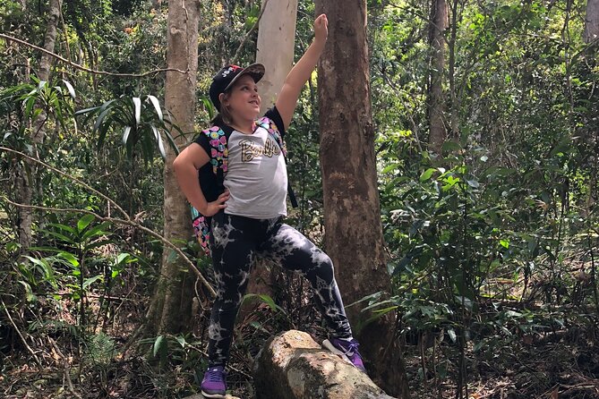 Deluxe Springbrook & Mt Tamborine Glow Worms and famous Skywalk - Gallery Walk adds a light village break