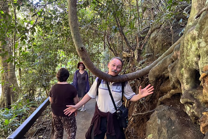 Deluxe Springbrook & Mt Tamborine Glow Worms and famous Skywalk - The food and small extras help on an eight-hour outing
