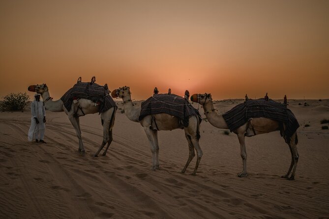 Deluxe Sunset Desert Safari: SandSurfing, Camel Ride & BBQ dinner - Leaving Dubai in a Six-Seat 4x4