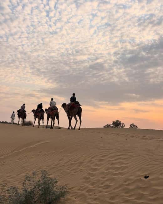 Desert Rose Jaisalmer: Luxury Tent In Thar Desert - Sunrise breakfast and the drive back