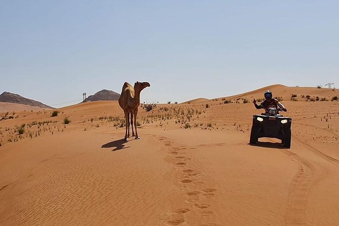 Desert Safari Dubai (PREMIUM VIP) - Quad bikes: fun, but keep expectations in check