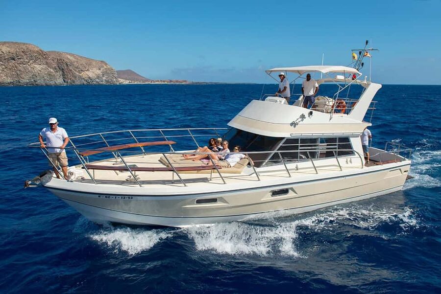 Discover whales in Tenerife: exclusive yacht tour with swim and lunch - Key points before you book