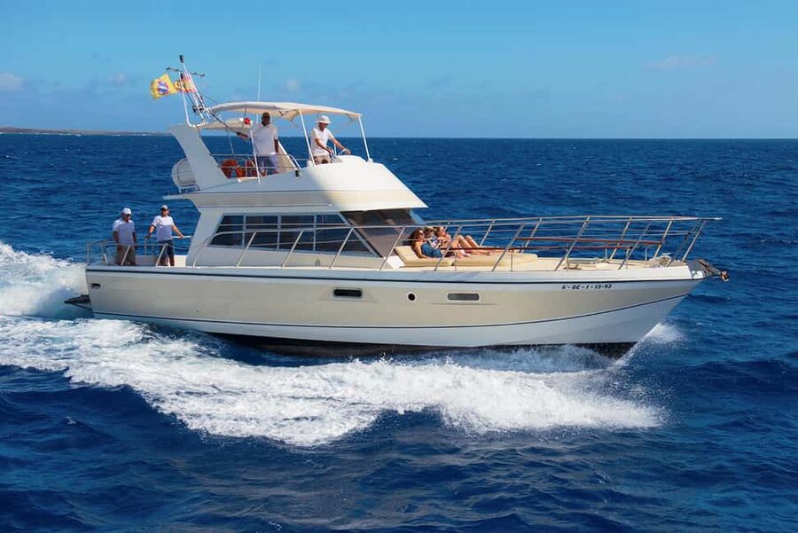 Discover whales in Tenerife: exclusive yacht tour with swim and lunch - A small yacht with room to watch the sea