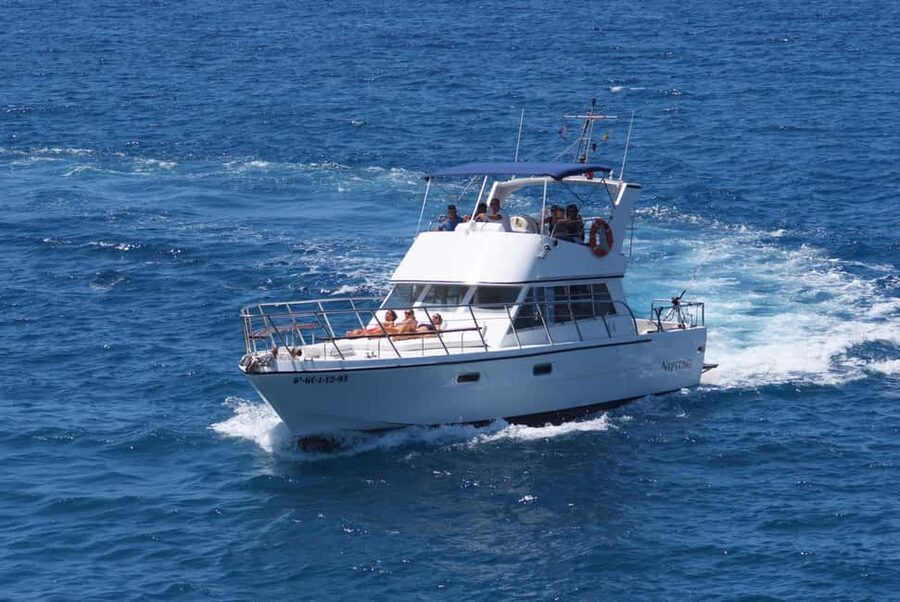Discover whales in Tenerife: exclusive yacht tour with swim and lunch - Lunch on the water