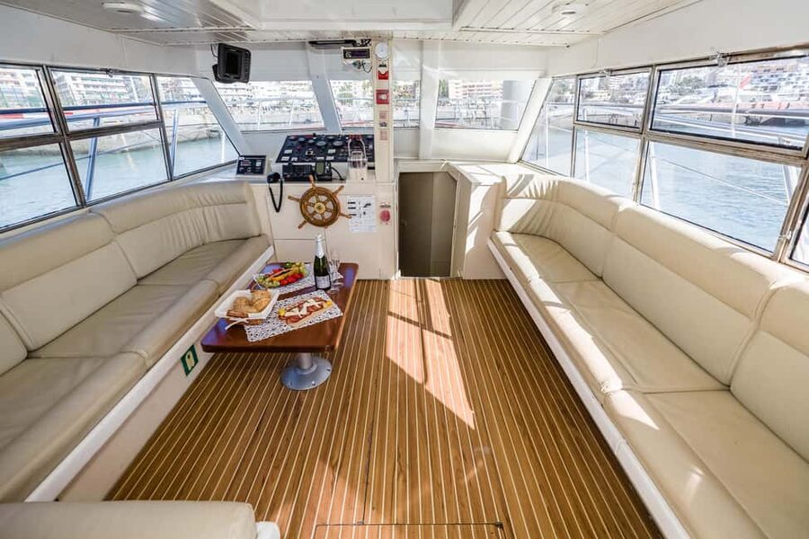 Discover whales in Tenerife: exclusive yacht tour with swim and lunch - How the $68 price measures up