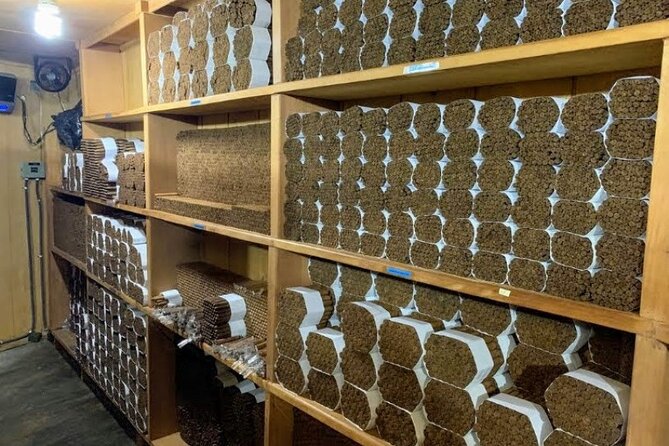 Don Lucas Cigar Factory & Store + Premium Rum Tasting (3 hours) - Rum tasting at the bar