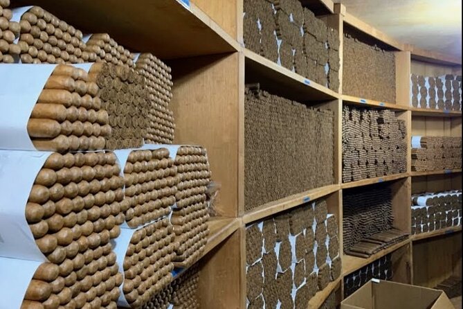 Don Lucas Cigar Factory & Store + Premium Rum Tasting (3 hours) - Shopping beyond cigars
