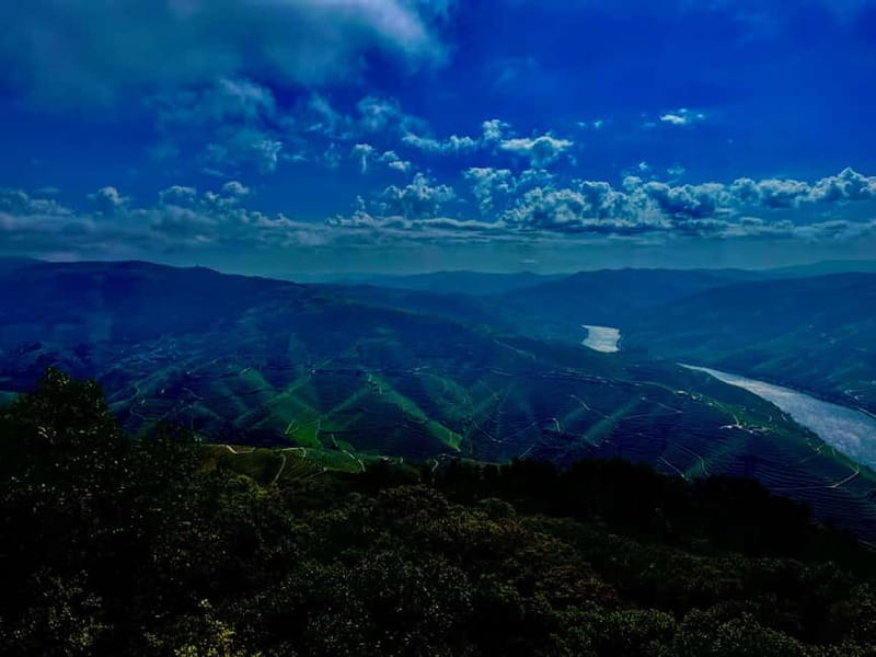 DOURO PREMIUM - Why This Douro Day Works So Well