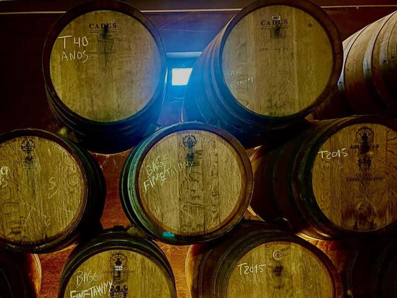 DOURO PREMIUM - Two Hours Among Vineyards and Wine
