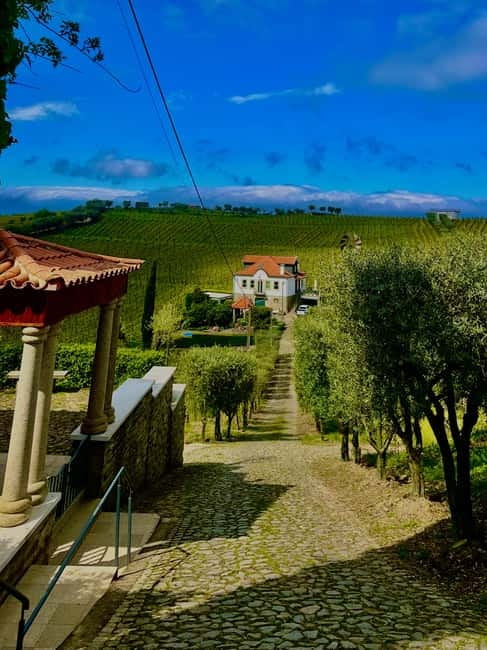 DOURO PREMIUM - The N222 and the Return Journey