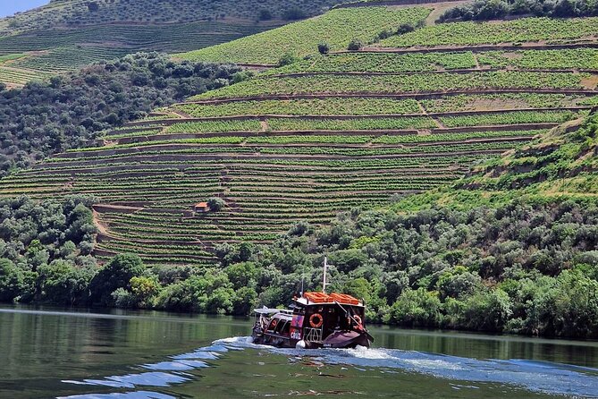Douro Valley-Expert Guide-Boat-Lunch-Tastings-Offer wine bottle - Why this Douro Valley day works so well