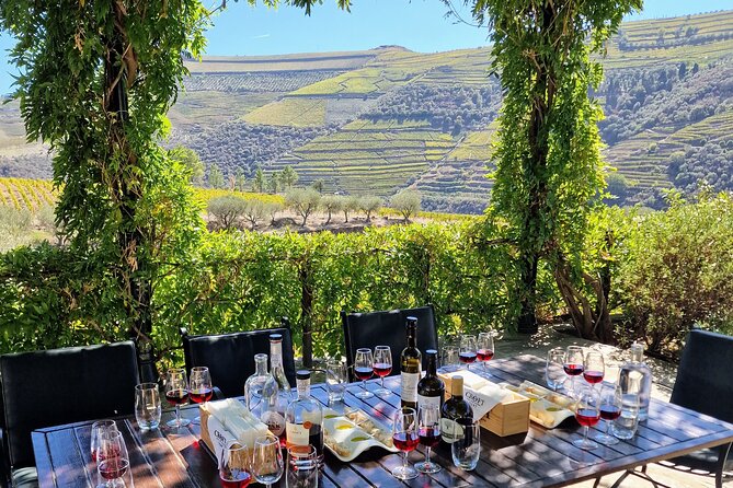 Douro Valley-Expert Guide-Boat-Lunch-Tastings-Offer wine bottle - The Torguiano viewpoint gives you the valley’s big picture