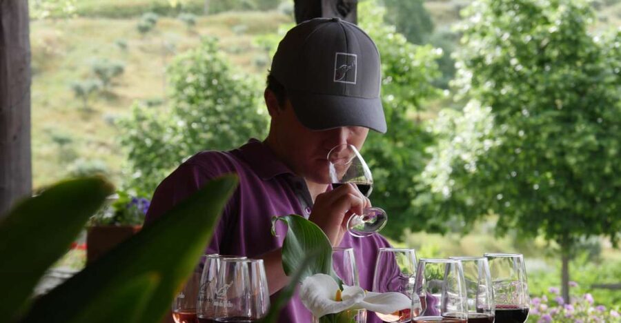 Douro Valley: Premium Port Tasting Winery Tour & River Views - Why this short Douro visit works